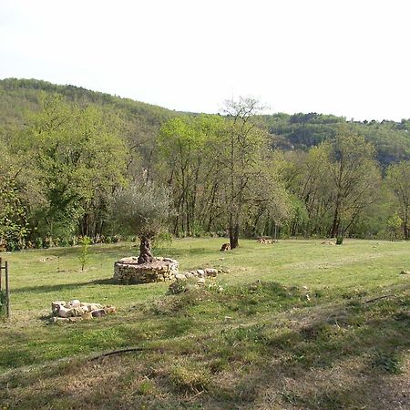 Studio Aux Eyzies Au Coeur De La Vallee De L'Homme Les Eyzies Экстерьер фото